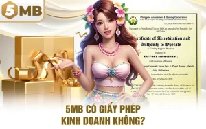 5MB Có Giấy Phép Kinh Doanh Không? Cùng Giải Đáp Nhé!