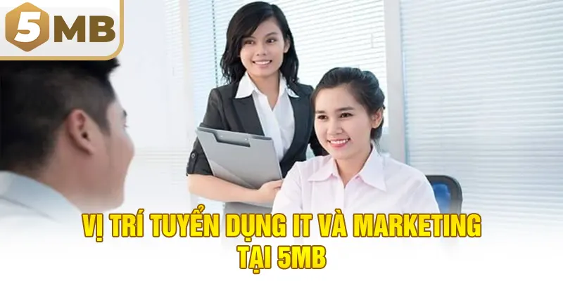 Vị trí tuyển dụng IT và Marketing tại 5MB